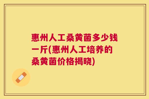 惠州人工桑黄菌多少钱一斤(惠州人工培养的桑黄菌价格揭晓) 惠州人工桑黄菌多少钱一斤(惠州人工培养的桑黄菌价格揭晓)