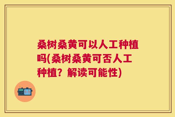 桑树桑黄可以人工种植吗(桑树桑黄可否人工种植?解读可能性) 桑树桑黄可以人工种植吗(桑树桑黄可否人工种植?解读可能性)