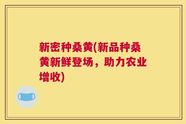 新密种桑黄(新品种桑黄新鲜登场,助力农业增收) 新密种桑黄(新品种桑黄新鲜登场,助力农业增收)