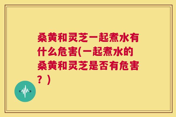 桑黄和灵芝一起煮水有什么危害(一起煮水的桑黄和灵芝是否有危害?) 桑黄和灵芝一起煮水有什么危害(一起煮水的桑黄和灵芝是否有危害?)