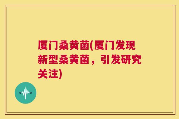 厦门桑黄菌(厦门发现新型桑黄菌,引发研究关注) 厦门桑黄菌(厦门发现新型桑黄菌,引发研究关注)