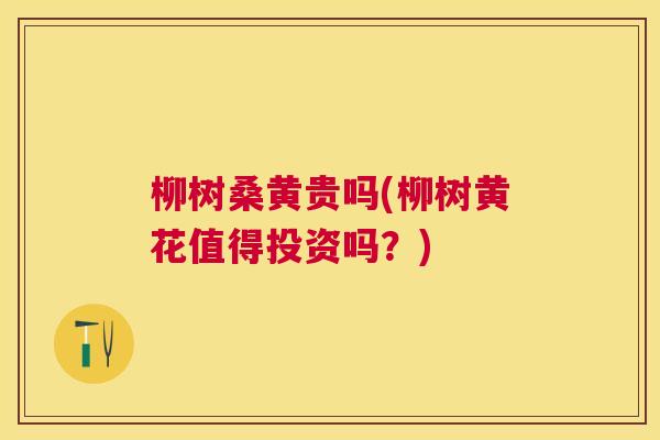 柳树桑黄贵吗(柳树黄花值得投资吗?) 柳树桑黄贵吗(柳树黄花值得投资吗?)