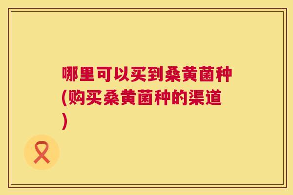 哪里可以买到桑黄菌种(购买桑黄菌种的渠道) 哪里可以买到桑黄菌种(购买桑黄菌种的渠道)