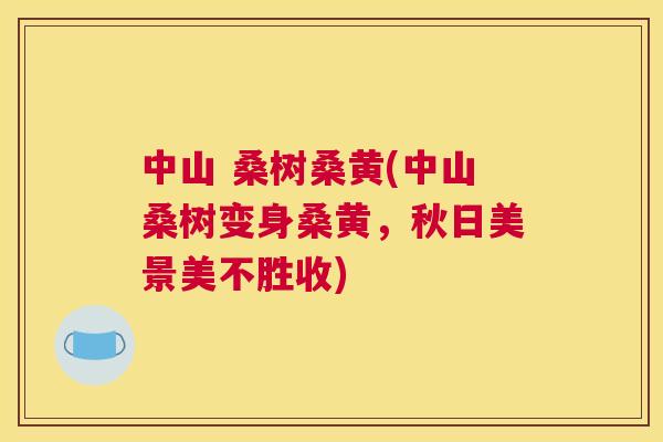 中山 桑树桑黄(中山桑树变身桑黄,秋日美景美不胜收) 中山 桑树桑黄(中山桑树变身桑黄,秋日美景美不胜收)