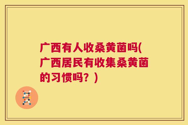 广西有人收桑黄菌吗(广西居民有收集桑黄菌的习惯吗?) 广西有人收桑黄菌吗(广西居民有收集桑黄菌的习惯吗?)