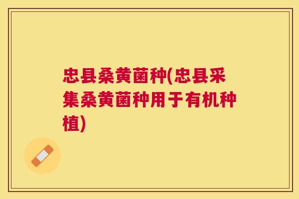 忠县桑黄菌种(忠县采集桑黄菌种用于有机种植)