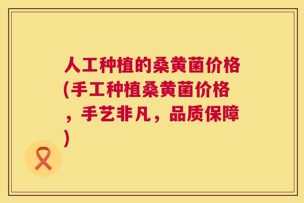 人工种植的桑黄菌价格(手工种植桑黄菌价格,手艺非凡,品质保障) 人工种植的桑黄菌价格(手工种植桑黄菌价格,手艺非凡,品质保障)