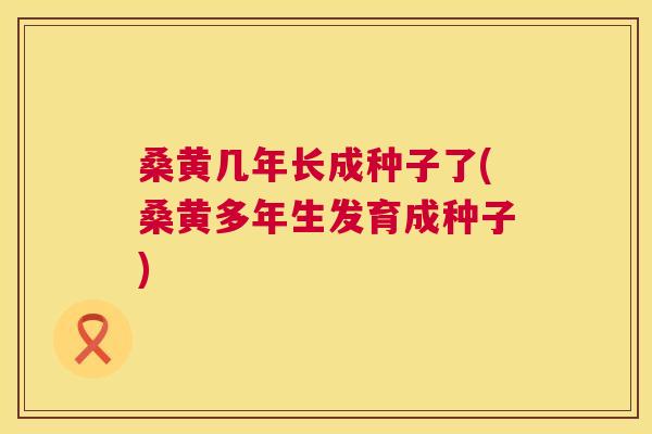 桑黄几年长成种子了(桑黄多年生发育成种子) 桑黄几年长成种子了(桑黄多年生发育成种子)