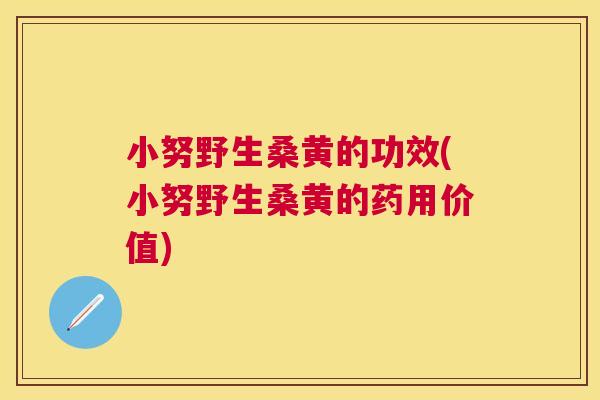 小努野生桑黄的功效(小努野生桑黄的药用价值) 小努野生桑黄的功效(小努野生桑黄的药用价值)