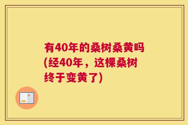 有40年的桑树桑黄吗(经40年,这棵桑树终于变黄了) 有40年的桑树桑黄吗(经40年,这棵桑树终于变黄了)