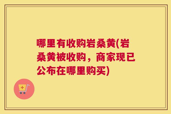 哪里有收购岩桑黄(岩桑黄被收购,商家现已公布在哪里购买) 哪里有收购岩桑黄(岩桑黄被收购,商家现已公布在哪里购买)