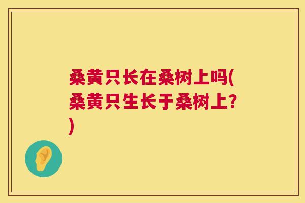 桑黄只长在桑树上吗(桑黄只生长于桑树上?) 桑黄只长在桑树上吗(桑黄只生长于桑树上?)