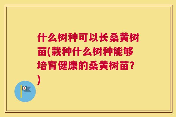 什么树种可以长桑黄树苗(栽种什么树种能够培育健康的桑黄树苗?) 什么树种可以长桑黄树苗(栽种什么树种能够培育健康的桑黄树苗?)