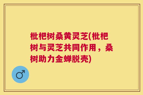 枇杷树桑黄灵芝(枇杷树与灵芝共同作用，桑树助力金蝉脱壳)