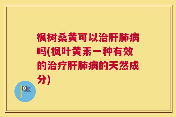 枫树桑黄可以吗(枫叶黄素一种有效的的天然成分) 枫树桑黄可以吗(枫叶黄素一种有效的的天然成分)