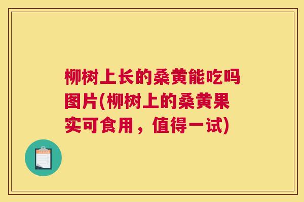柳树上长的桑黄能吃吗图片(柳树上的桑黄果实可食用,值得一试) 柳树上长的桑黄能吃吗图片(柳树上的桑黄果实可食用,值得一试)