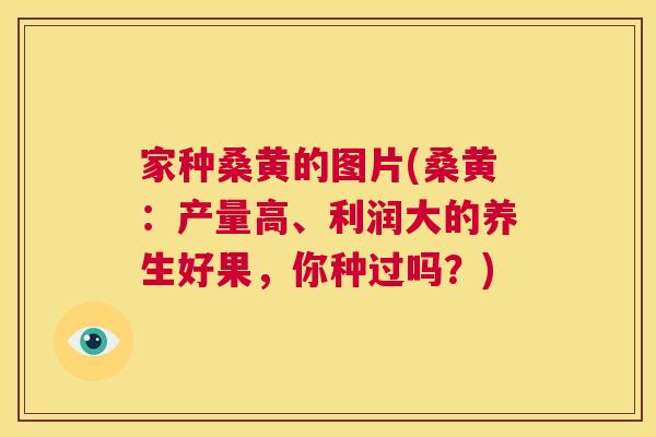 家种桑黄的图片(桑黄:产量高、利润大的养生好果,你种过吗?) 家种桑黄的图片(桑黄:产量高、利润大的养生好果,你种过吗?)