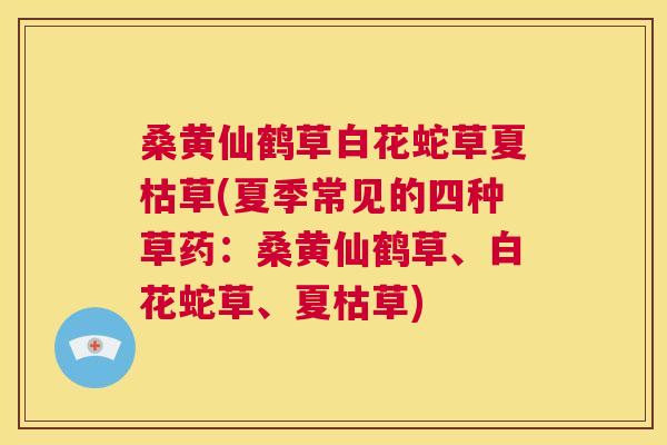 桑黄仙鹤草白花蛇草夏枯草(夏季常见的四种草药:桑黄仙鹤草、白花蛇草、夏枯草) 桑黄仙鹤草白花蛇草夏枯草(夏季常见的四种草药:桑黄仙鹤草、白花蛇草、夏枯草)