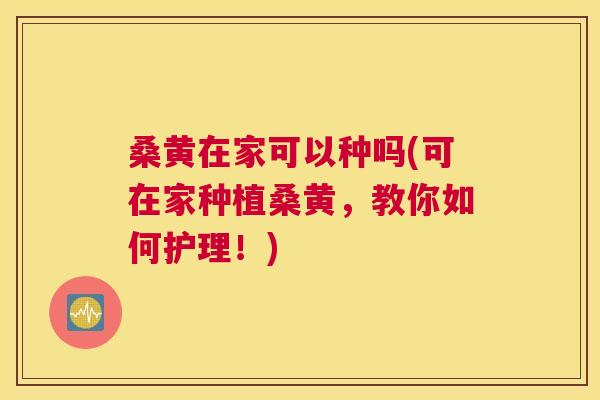 桑黄在家可以种吗(可在家种植桑黄,教你如何护理!) 桑黄在家可以种吗(可在家种植桑黄,教你如何护理!)