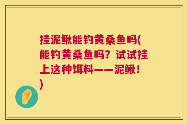 挂泥鳅能钓黄桑鱼吗(能钓黄桑鱼吗?试试挂上这种饵料——泥鳅!) 挂泥鳅能钓黄桑鱼吗(能钓黄桑鱼吗?试试挂上这种饵料——泥鳅!)
