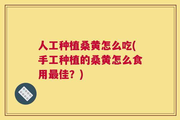 人工种植桑黄怎么吃(手工种植的桑黄怎么食用佳?) 人工种植桑黄怎么吃(手工种植的桑黄怎么食用佳?)