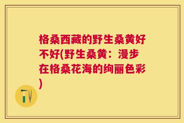格桑西藏的野生桑黄好不好(野生桑黄:漫步在格桑花海的绚丽色彩) 格桑西藏的野生桑黄好不好(野生桑黄:漫步在格桑花海的绚丽色彩)