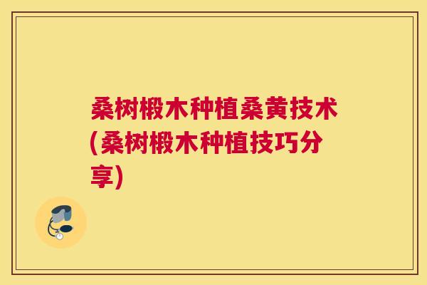 桑树椴木种植桑黄技术(桑树椴木种植技巧分享) 桑树椴木种植桑黄技术(桑树椴木种植技巧分享)