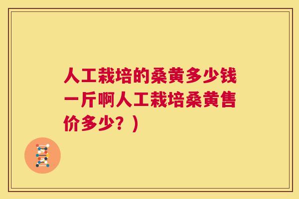 人工栽培的桑黄多少钱一斤啊人工栽培桑黄售价多少?) 人工栽培的桑黄多少钱一斤啊人工栽培桑黄售价多少?)