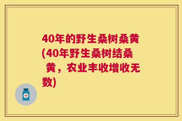 40年的野生桑树桑黄(40年野生桑树结桑 黄,农业丰收增收无数) 40年的野生桑树桑黄(40年野生桑树结桑 黄,农业丰收增收无数)