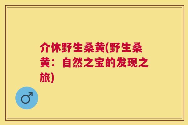 介休野生桑黄(野生桑黄:自然之宝的发现之旅) 介休野生桑黄(野生桑黄:自然之宝的发现之旅)