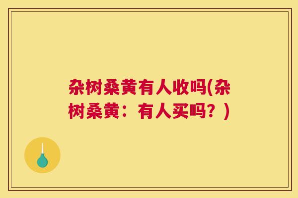 杂树桑黄有人收吗(杂树桑黄:有人买吗?) 杂树桑黄有人收吗(杂树桑黄:有人买吗?)