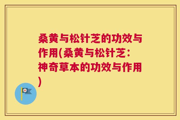 桑黄与松针芝的功效与作用(桑黄与松针芝:神奇草本的功效与作用) 桑黄与松针芝的功效与作用(桑黄与松针芝:神奇草本的功效与作用)