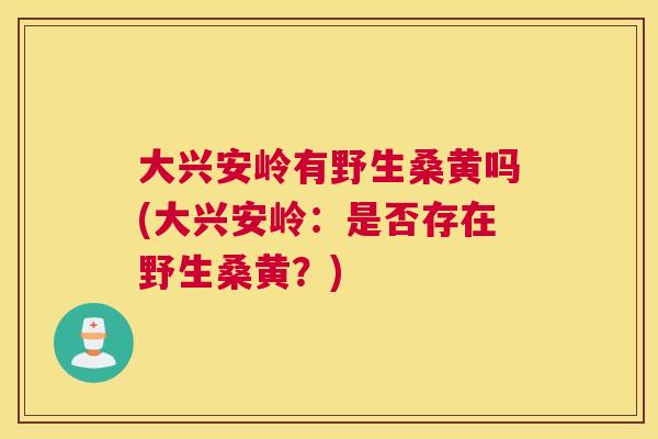 大兴安岭有野生桑黄吗(大兴安岭:是否存在野生桑黄?) 大兴安岭有野生桑黄吗(大兴安岭:是否存在野生桑黄?)