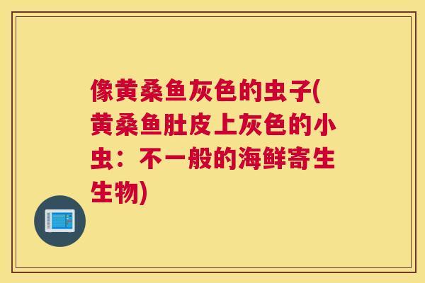 像黄桑鱼灰色的虫子(黄桑鱼肚皮上灰色的小虫:不一般的海鲜寄生生物) 像黄桑鱼灰色的虫子(黄桑鱼肚皮上灰色的小虫:不一般的海鲜寄生生物)