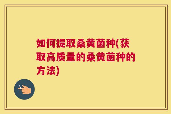 如何提取桑黄菌种(获取高质量的桑黄菌种的方法) 如何提取桑黄菌种(获取高质量的桑黄菌种的方法)