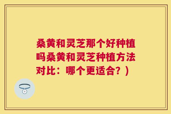 桑黄和灵芝那个好种植吗桑黄和灵芝种植方法对比:哪个更适合?) 桑黄和灵芝那个好种植吗桑黄和灵芝种植方法对比:哪个更适合?)