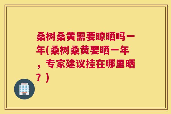 桑树桑黄需要晾晒吗一年(桑树桑黄要晒一年,专家建议挂在哪里晒?) 桑树桑黄需要晾晒吗一年(桑树桑黄要晒一年,专家建议挂在哪里晒?)