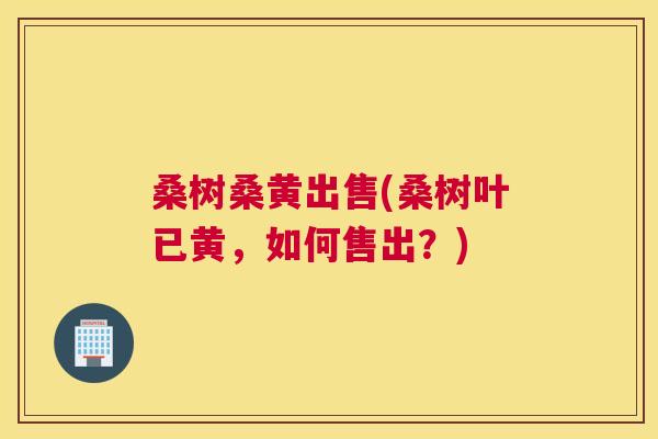 桑树桑黄出售(桑树叶已黄,如何售出?) 桑树桑黄出售(桑树叶已黄,如何售出?)