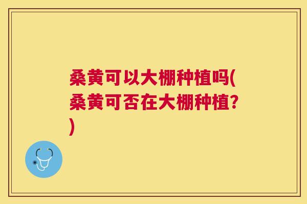 桑黄可以大棚种植吗(桑黄可否在大棚种植?) 桑黄可以大棚种植吗(桑黄可否在大棚种植?)