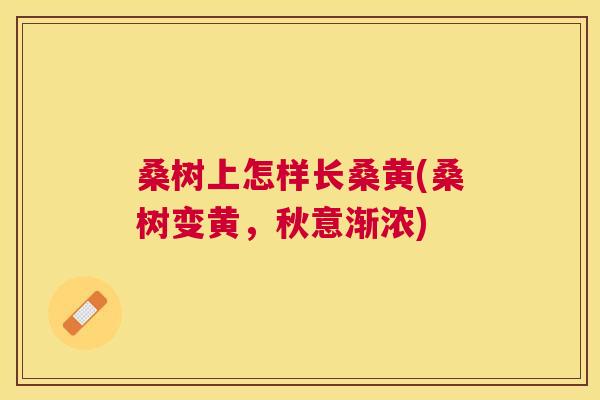 桑树上怎样长桑黄(桑树变黄,秋意渐浓) 桑树上怎样长桑黄(桑树变黄,秋意渐浓)