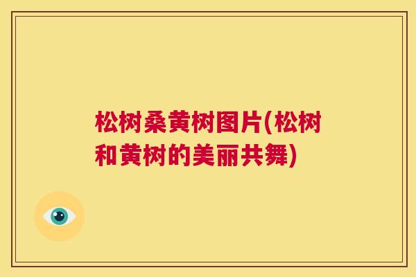 松树桑黄树图片(松树和黄树的美丽共舞) 松树桑黄树图片(松树和黄树的美丽共舞)
