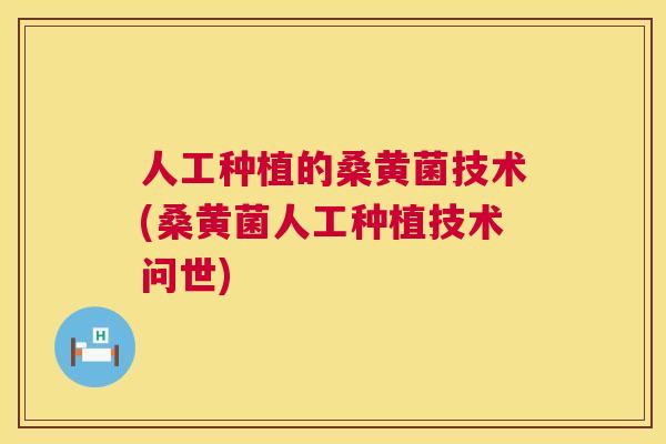 人工种植的桑黄菌技术(桑黄菌人工种植技术问世) 人工种植的桑黄菌技术(桑黄菌人工种植技术问世)