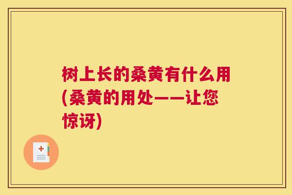 树上长的桑黄有什么用(桑黄的用处——让您惊讶) 树上长的桑黄有什么用(桑黄的用处——让您惊讶)