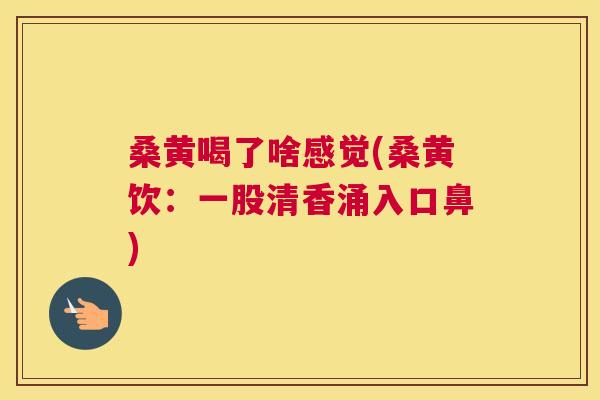 桑黄喝了啥感觉(桑黄饮:一股清香涌入口鼻) 桑黄喝了啥感觉(桑黄饮:一股清香涌入口鼻)