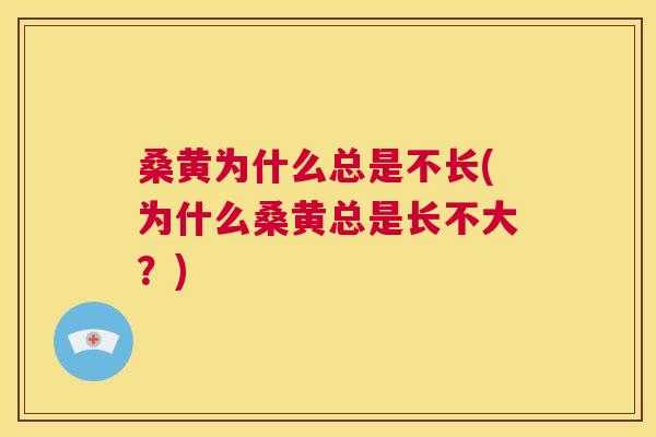 桑黄为什么总是不长(为什么桑黄总是长不大?) 桑黄为什么总是不长(为什么桑黄总是长不大?)