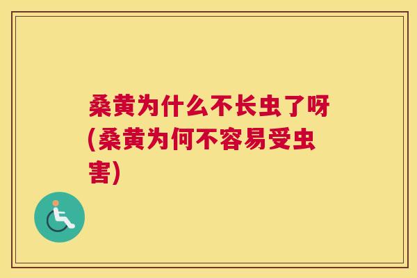 桑黄为什么不长虫了呀(桑黄为何不容易受虫害) 桑黄为什么不长虫了呀(桑黄为何不容易受虫害)