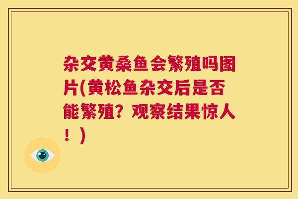 杂交黄桑鱼会繁殖吗图片(黄松鱼杂交后是否能繁殖?观察结果惊人!) 杂交黄桑鱼会繁殖吗图片(黄松鱼杂交后是否能繁殖?观察结果惊人!)