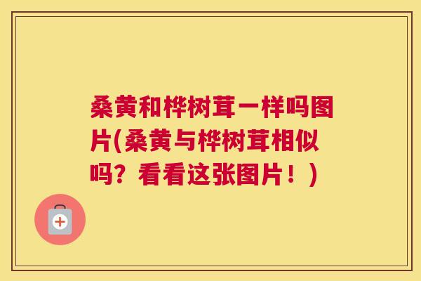 桑黄和桦树茸一样吗图片(桑黄与桦树茸相似吗?看看这张图片!) 桑黄和桦树茸一样吗图片(桑黄与桦树茸相似吗?看看这张图片!)