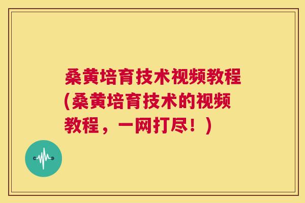 桑黄培育技术视频教程(桑黄培育技术的视频教程,一网打尽!) 桑黄培育技术视频教程(桑黄培育技术的视频教程,一网打尽!)