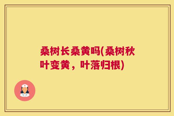 桑树长桑黄吗(桑树秋叶变黄,叶落归根) 桑树长桑黄吗(桑树秋叶变黄,叶落归根)